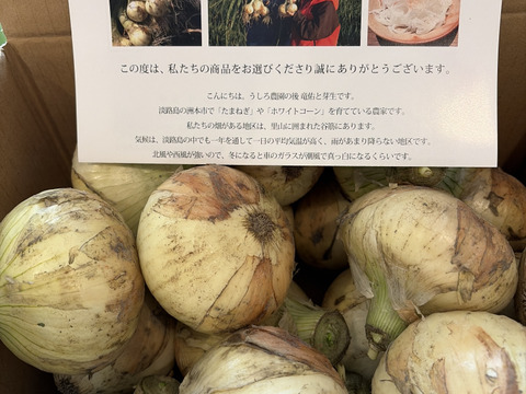 【リピート最多66回】プロのレシピ作りにも使われた、淡路島・うしろ農園の新玉ねぎ 5ｋｇ　【ひょうご安心ブランド認証】特別栽培　サラダ