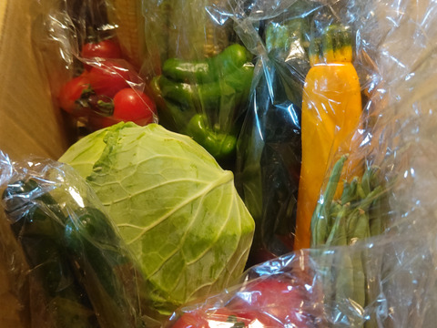 標高800mで育った高原野菜S(9-10品目)野菜セットS