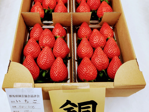 【自分のご褒美や成人祝いに】【2年連続品評会入賞】やよいひめ  どこにも無い味の濃さを皆様の元へお届けしたいと思い作っているイチゴです(大きさ不揃い)  約280ｇ4パック