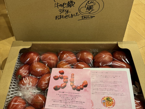 【予約】【牛の心臓トマト3kg】加熱調理で旨味抜群のイタリアン品種！（２５～４０玉）