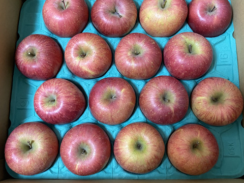 【家庭用5kg】信州産完熟ふじ🍎