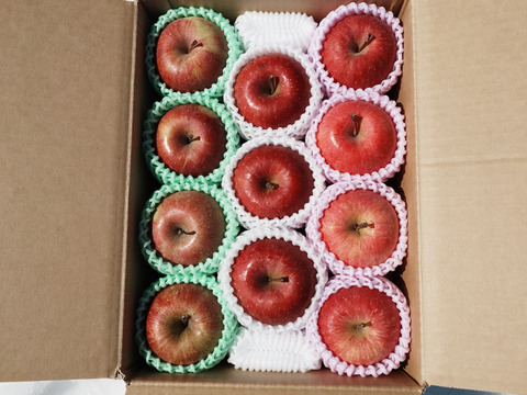 ☆3種の《ふじ》【食べ比べ】☆農薬不使用りんご入り☆3キロ（８〜１２玉）