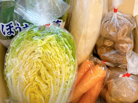 群馬県高崎産】季節の野菜SSセット（5～6品）『農薬及び化学肥料