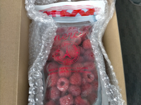 大玉果を選別！美容健康に！国産ラズベリー（冷凍・300g）収穫したてのものをすぐに冷凍しました！