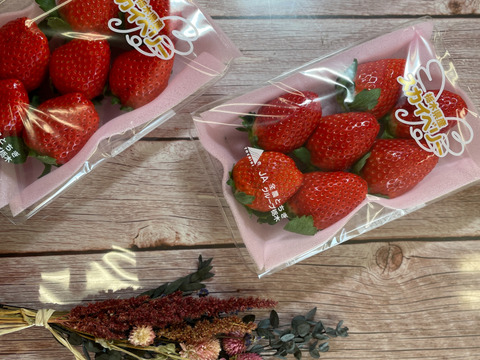 三ツ星いちごスカイベリー1箱2パック 栃木県産 食べチョク 農家 漁師の産直ネット通販 旬の食材を生産者直送