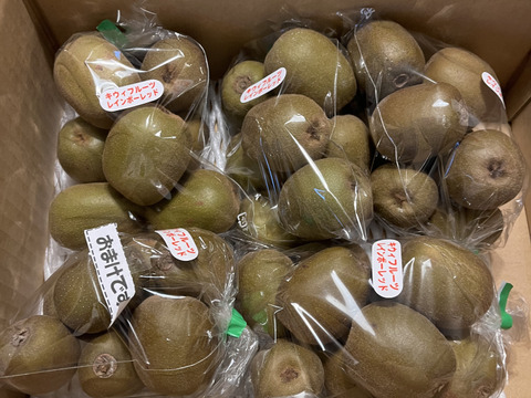 【もうすぐ終了】希少品種！甘くて美味しい🥝レインボーレッド🥝２ｋｇ　小玉～中玉