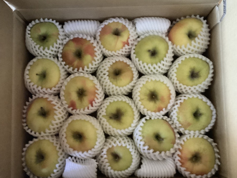 【販売開始！】青森県産りんご「ぐんま名月」家庭用 キズ有 約5kg 【光センサー選果・高リピート率】