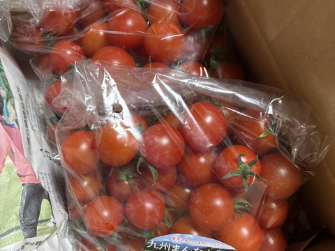 『期間限定価格』ジュワッと広がる旨み！寒暖差熟成"甲佐町産ミニトマト" (1kg)