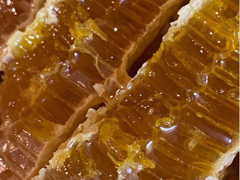 【美味しさに感動】日本蜜蜂の生ハチミツ170g×2個 + 蜂蜜 100g小瓶おまけ付き