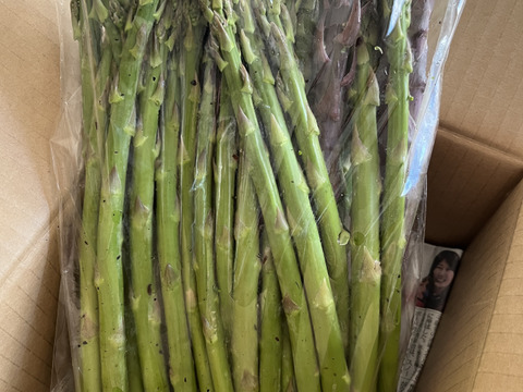 朝どれ】アスパラガス B品 サイズ混合 1kg 【収穫当日発送】：新潟県