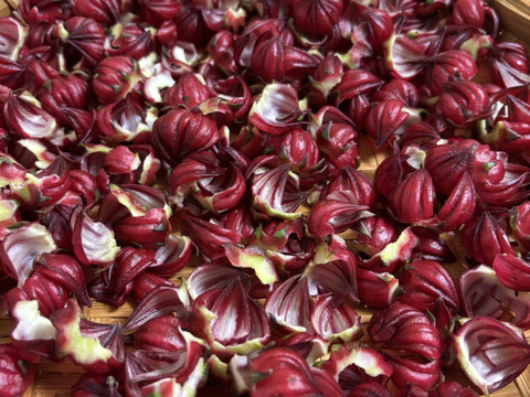 【2kg】ビタミンCたっぷり！爽やかな酸味と彩りを楽しむハイビスカスローゼル 赤穂産