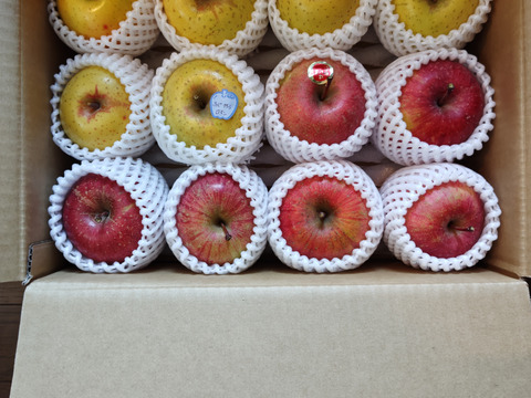 お任せミックス！岩手江刺産★家庭用３㎏