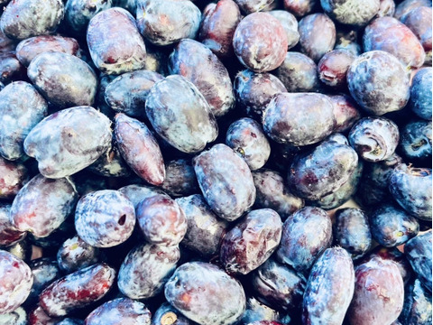 贅沢ハスカップジャム【数量限定・貴重な実をふんだんに使用】※まとめ買い対応