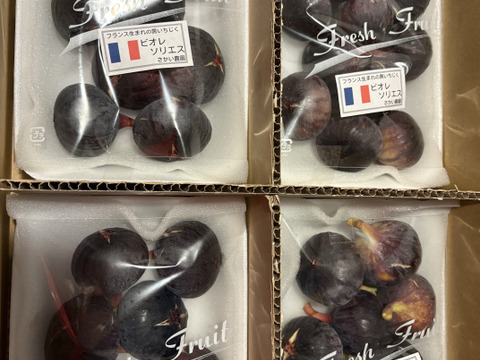 【R7終了】濃厚！黒いちじく盛合せ