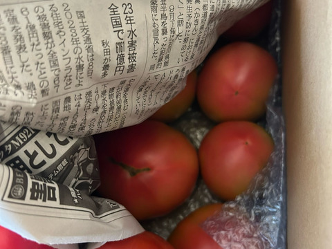 トマト箱いっぱい詰め(約5kg)