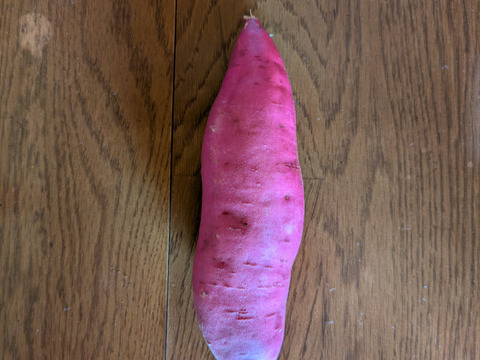 しっかり甘い、しっとり旨い「晩秋のお月見さつまいも」5kg