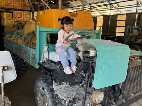 旬の淡路島玉ねぎ！5キロM～2L