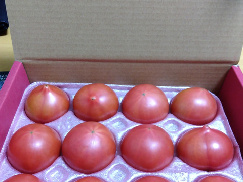 アルテトマト☆約800g（10玉～16玉）☆コクと旨味をギュっと濃縮！高糖度トマト