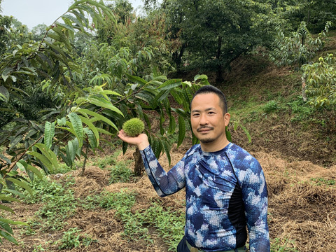 【1kg】秋の味覚『やまえ栗』M〜LLサイズの詰め合わせ！