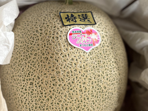 【今週限定】ラブコールメロンは1年で1週ほど！1粒のタネから1玉だけ大切に育てました！ちぎりたてでも甘さに驚くラブコールメロン1玉入り(2.3kg～3kg)