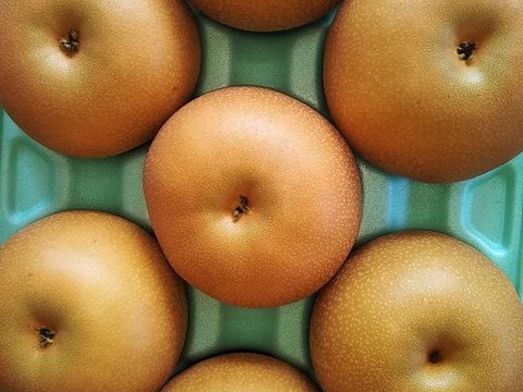 呉羽梨豊水家庭用3ｋｇ