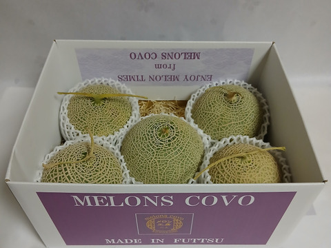 訳あり品『冬の訳ありアールスメロン』4～6個入り