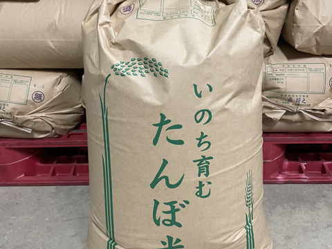 【新米】令和５年産コシヒカリ特別栽培米　玄米３０㎏袋入り 小松島市生物多様性農業推進協議会　認証　いのちはぐくむ田んぼ米
