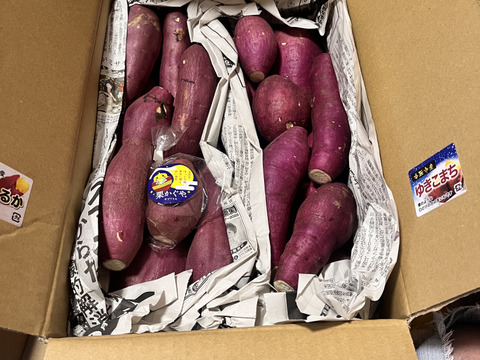 日替わり「さつまいも」2種類食べ比べセット！色々なサイズ入り  5キロ箱【訳あり】