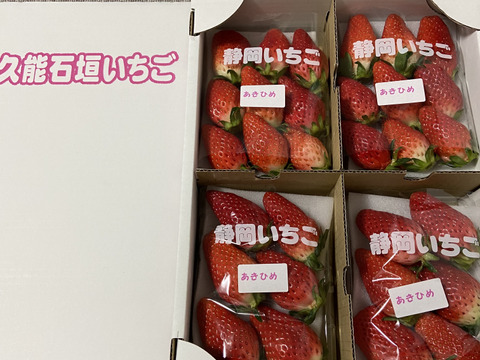 4Pいちご狩りの美味しさをお届け！伝統の石垣いちご（270g×4パック）品種おまかせ