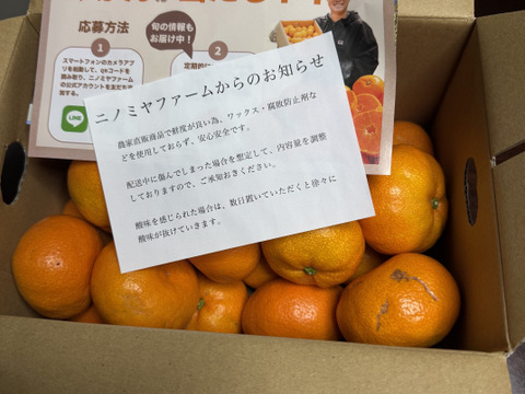【予約でほぼ売り切れる】美味しいみかん！「段畑みかん」箱込み3キロ