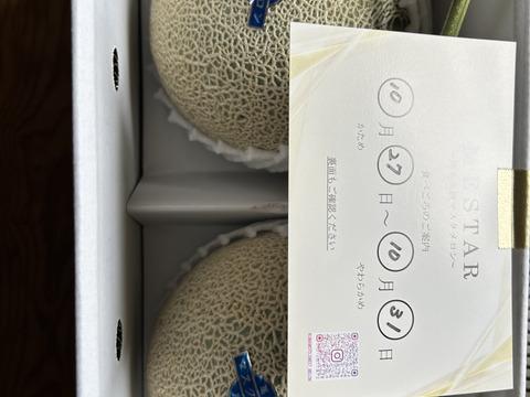 今季最終便【秋作】秀品マスクメロン3.2kg以上(1.6kg以上×2玉・くまモン箱入り)