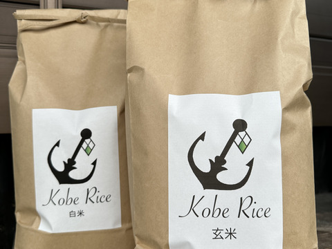 キラッ☆キラの炊き上がり2023年収穫米
"Kobe Rice" 神戸で穫れたお米５kg＋５kg、
白米/玄米などご要望に合わせ詰め合わせ可能。
コメントでご指示ください。土日出荷限定.