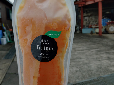 【冷凍ジュース、大人向けジュース】苦味が特徴　マーコット完熟生絞り冷凍ジュース1000㎖