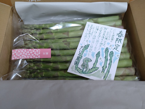 秋田県産　春の絶品アスパラガス  1kg. 2L-3L