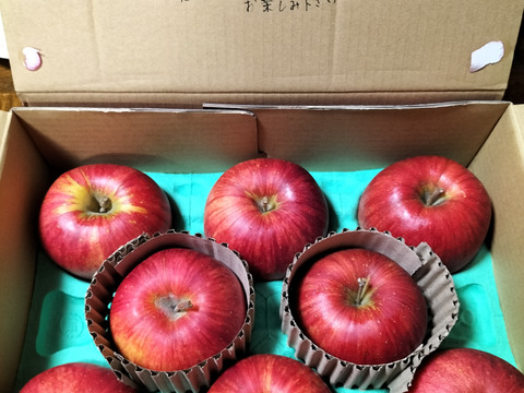 【蔵出しシナノスイート】（2kg・8～9個入り）シャリ甘・ジューシーお得な家庭用