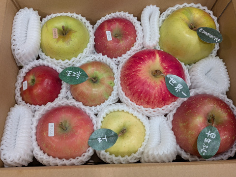 🍎 【アワード受賞福袋】 【冬ギフト】(家庭用)5品種詰め合わせ🍎3キロ   おまかせ 商品ID171041