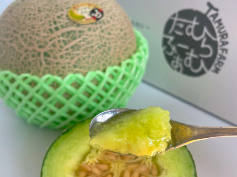 甘いんです！！『温室で育った完熟メロン』２玉入り🍈🍈