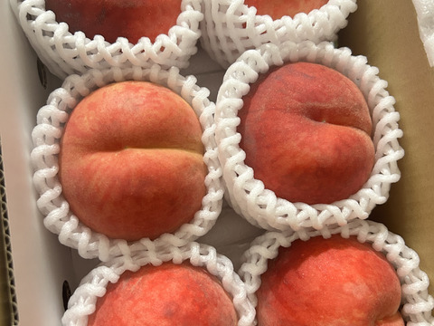 あぶくま(おうち用)、１．５ｋｇ（４～９玉）