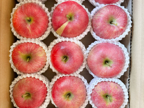 箱込5kg★名和果樹園の訳あり家庭用弘前ふじ★14〜18玉★産地直送お取り寄せ通販