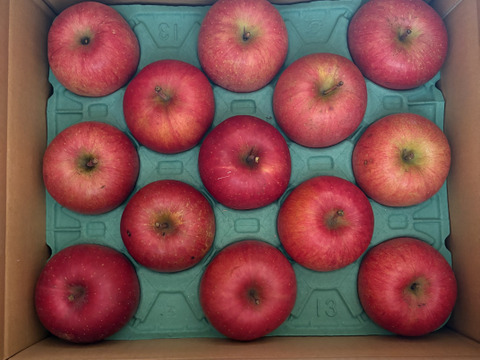 【販売中！人気商品】青森県産りんご「サンふじ」家庭用 キズ有 約5kg【美味・光センサー選果済】