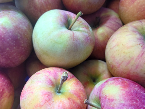 【訳ありにつきお買い得】シナノリップバラ詰め　ご家庭用約５キロ　真夏のジューシーリンゴ！