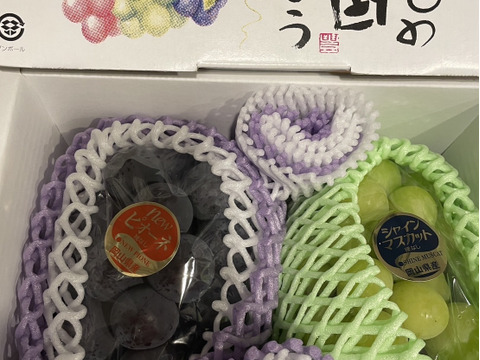 大好評！【予約販売】晴れの国岡山ぶどうピオーネ&シャインマスカット食べ比べセット（1kg以上、2房）