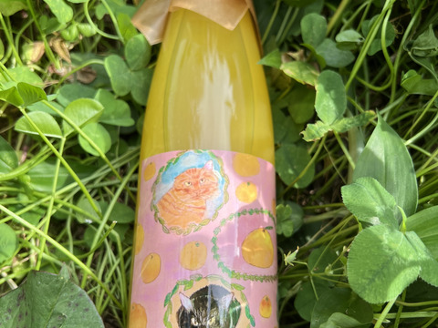 【限定品】お得な飲み比べセット！ねこ農園柑橘ジュースアソート3本セット