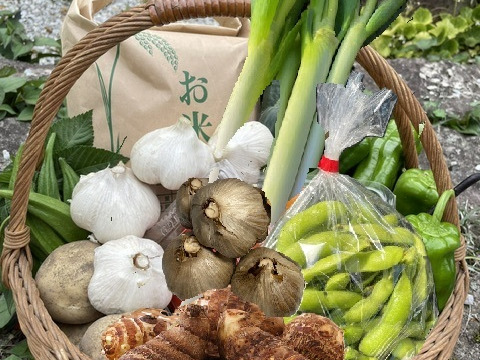 お米5kgとにんにく（白黒）＆季節野菜セット（枝豆・里いも入）：秋田