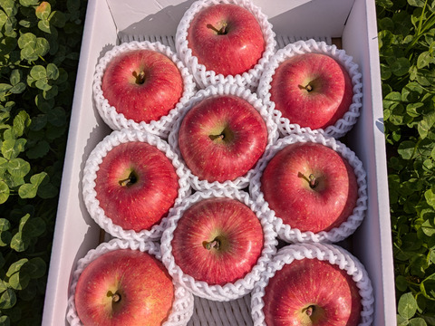 山形県産　サンふじ　贈答用　特秀3キロパック詰め　１２玉入り×3箱 山形県産 特秀 サンふじりんご 約3kg 9玉：山形県産のふじ｜食べチョク