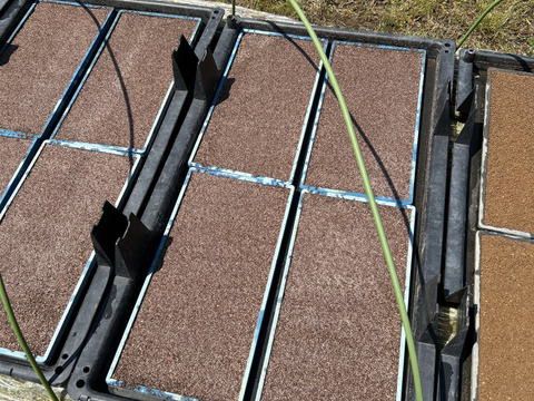 奈良県五條市産／柿名産地　ひとめぼれ米🌾