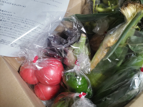 80サイズ！カラフル！旬野菜！すずなり野菜セット( 簡単レシピ付き )