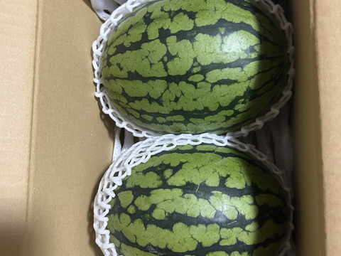 【5月限定】春の小玉スイカ☆長崎県産　2玉入り（1玉2kg前後）