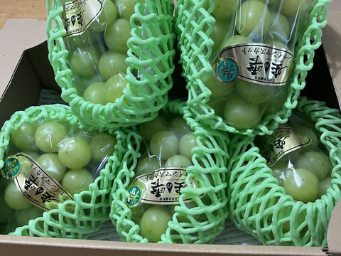 【約2㎏】「空の雫」種無し！シャインマスカット　 4～5房入り【お届け時期10月　受付順】