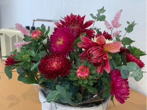 【日光園藝オリジナル】アスターと季節のお花アレンジメント